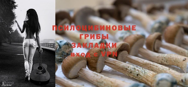 прущий лед Абаза
