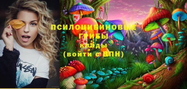 хмурый Осташков