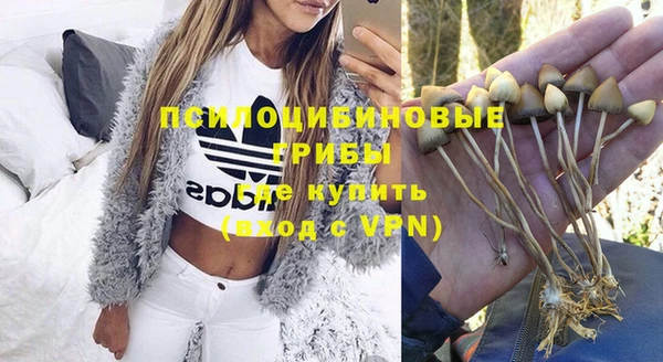 ALPHA-PVP Абинск