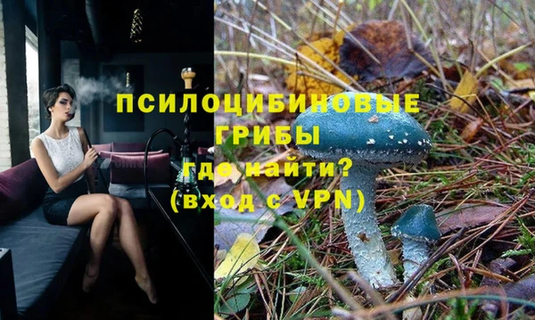 прущий лед Абаза